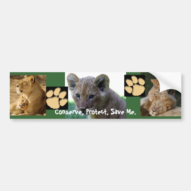Save Me - Lion Cub Bumper Sticker (Front)