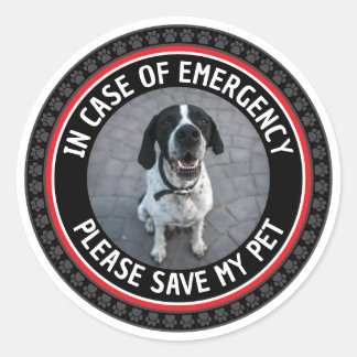 SAVE MY PET Safety Alert Custom Photo Modern  Classic Round Sticker