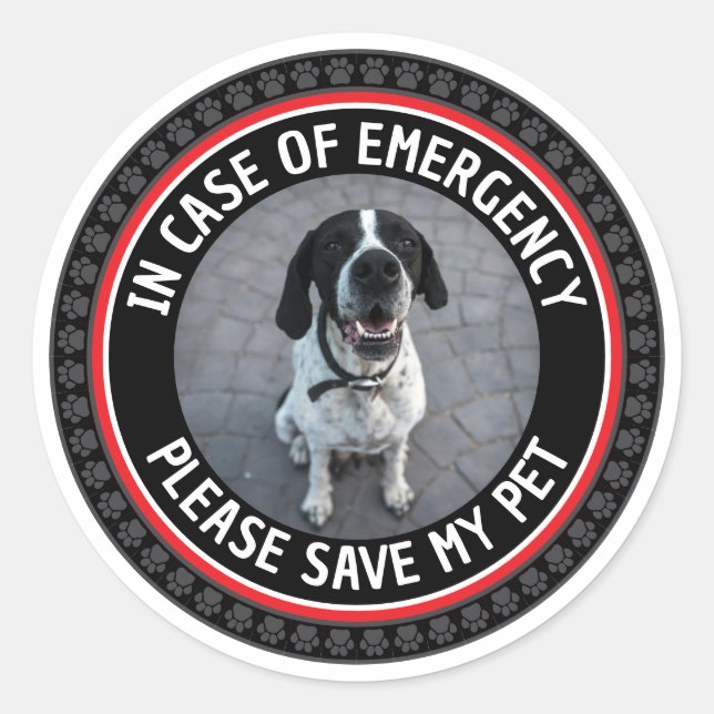 SAVE MY PET Safety Alert Custom Photo Modern  Classic Round Sticker (Front)