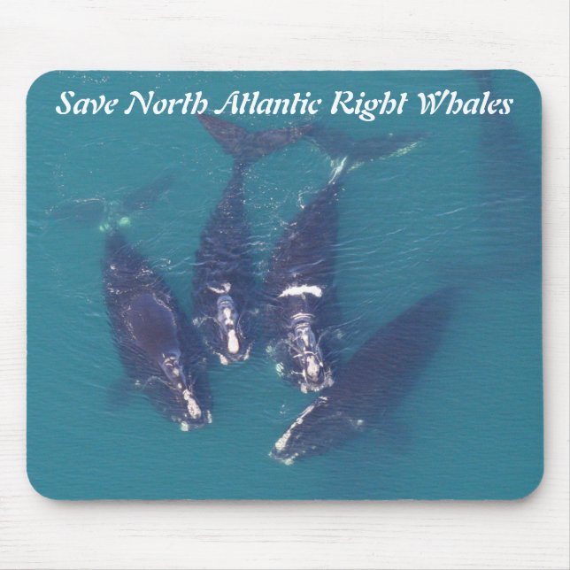 Save North Atlantic Right Whales by RoseWrites Mouse Pad (Front)