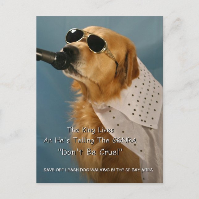 Save Off-Leash Dog Walking Congresswoman Pelosi Postcard (Front)