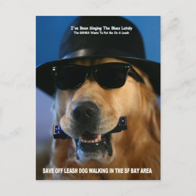 Save Off-Leash Dog Walking Congresswoman Pelosi Postcard (Front)