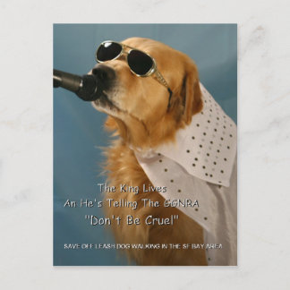 Save Off-Leash Dog Walking Senator Boxer Postcard