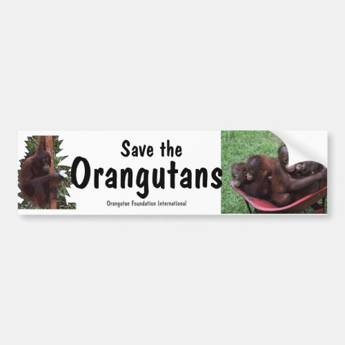 Save Orangutans Bumper Sticker