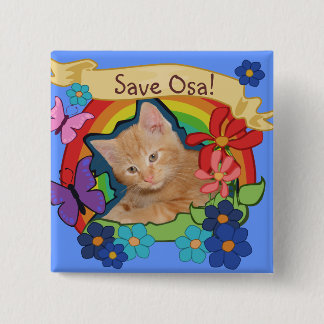 Save Osa button
