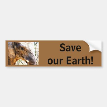 Save Our Earth! Elephant Photo Bumper Sticker by epclarke at Zazzle