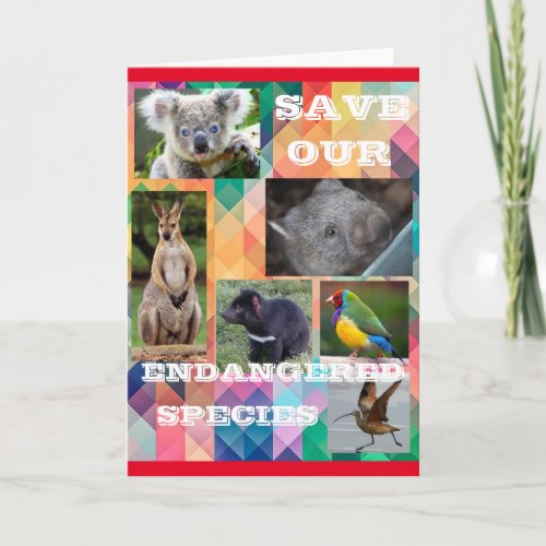 Save Our Endangered Species Card