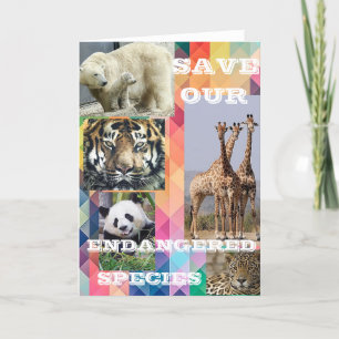 Save Our Endangered Species Folded Thank You Card