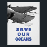 Save Our Oceans Environmental Art Whale Kids  Poster<br><div class="desc">We only have one planet, so it is important we protect it. Enviromentally themed design with the message of the whales 'Save Our Oceans'. Looking for a gift for a marine biologist or whale lover? My 'The Swim Of Whales Illustration Art' scientific illustration of different whales is a great gift...</div>