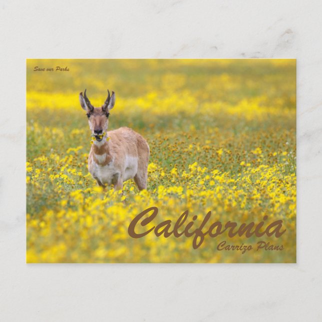 Save our Parks Postcard (Front)