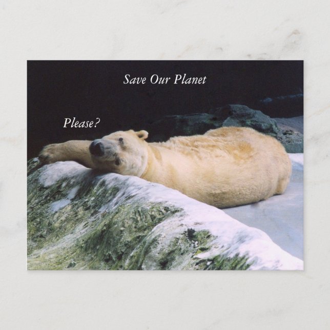 Save Our Planet series Polar Bear post card (Front)