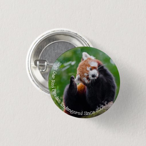 Save Our Red Pandas Button Zazzle Save Our Red Pandas Button Zazzle