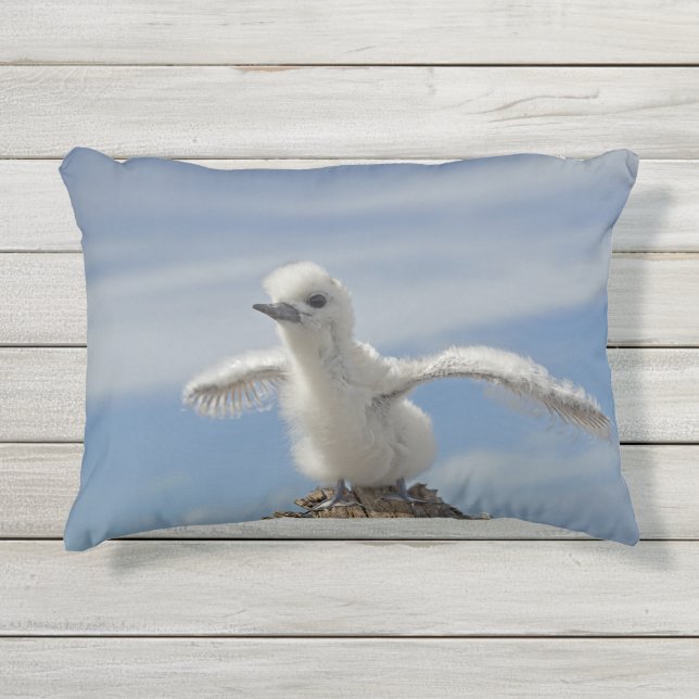 Save Our Seabirds Cushion by RoseWrites (Front)