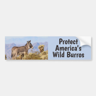 Save Our Wild Burros  Bumper Sticker