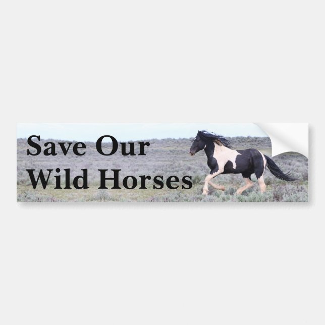 Save Our Wild Horses Bumper Sticker (Front)
