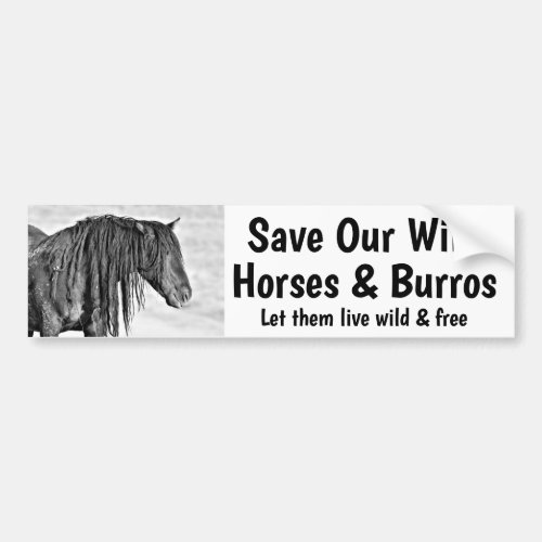 Save Our Wild Horses Bumper Sticker