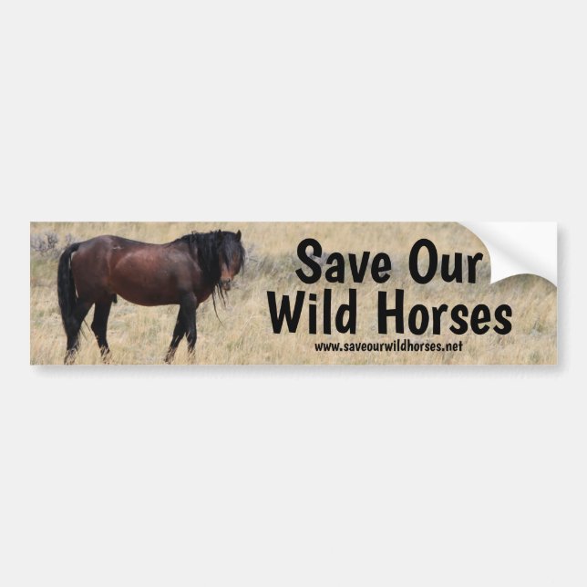 Save Our Wild Horses Campaign Bumper Sticker (Front)