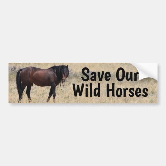 Save Our Wild Horses Campaign Bumper Sticker (Front)