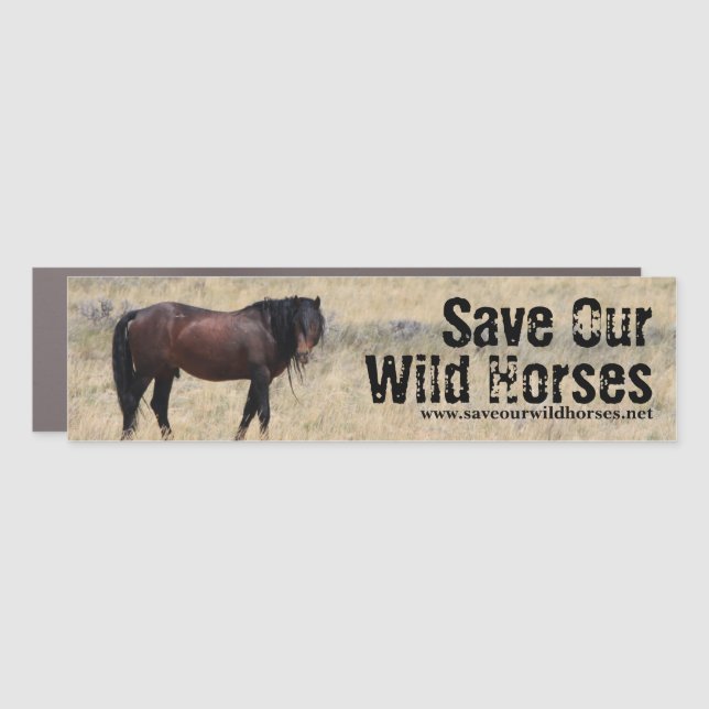 Save Our Wild Horses Campaign Car Magnet (Front)