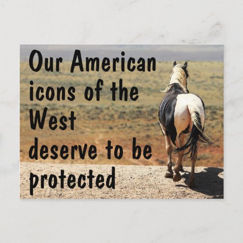 Save Our Wild Horses Campaign Postcard