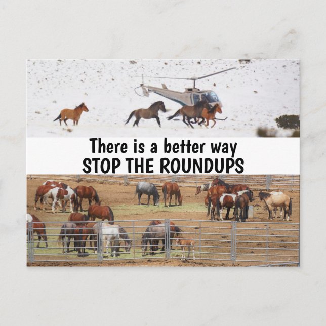 Save Our Wild Horses Campaign Postcard (Front)