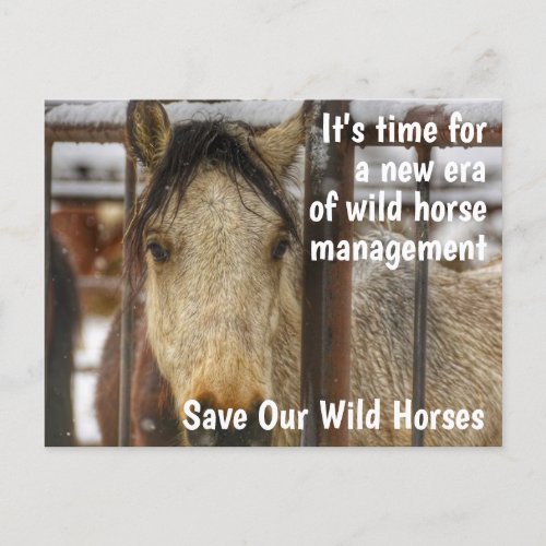 Save Our Wild Horses Campaign Postcard