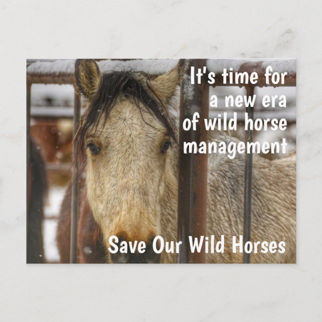 Save Our Wild Horses Campaign Postcard (Front)
