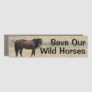 Save Our Wild Horses Car Magnet