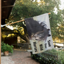 Save Our Wild Horses Jet Stream