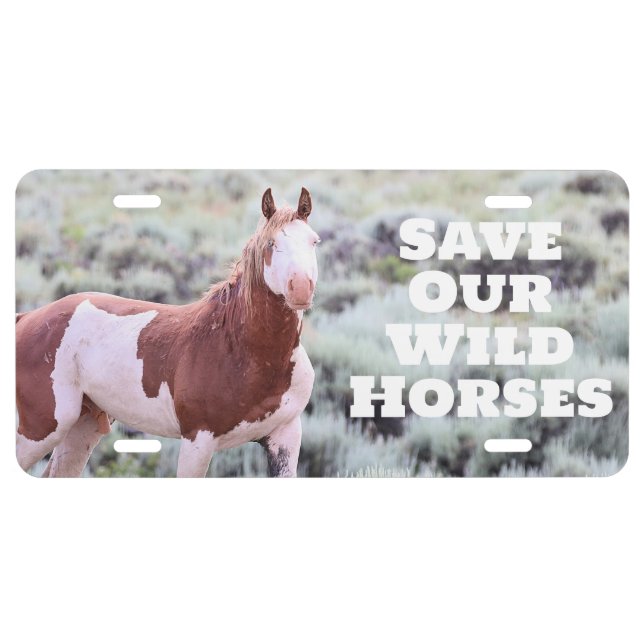 Save Our Wild Horses License Plate (Front)
