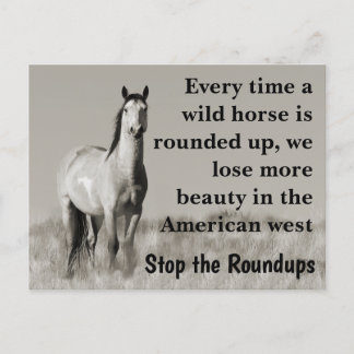Save Our Wild Horses Postcard