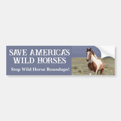 Save Our Wild Horses Sand Wash Basin Bumper Sticker