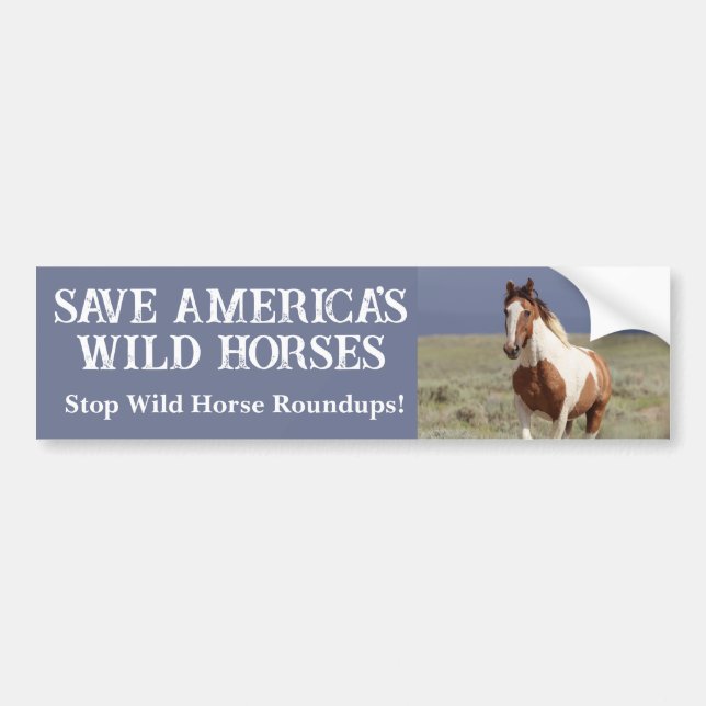 Save Our Wild Horses Sand Wash Basin Bumper Sticker (Front)