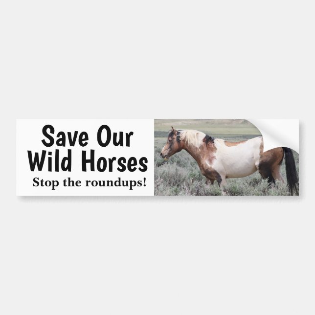 Save Our Wild Horses Traveler  Bumper Sticker (Front)