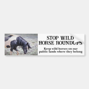 Save Our Wild Horses Washakie Bumper Sticker