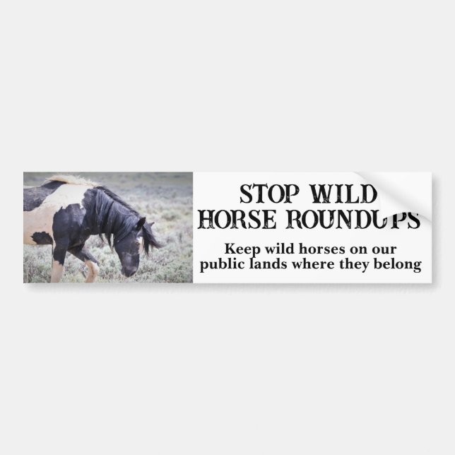 Save Our Wild Horses Washakie Bumper Sticker (Front)