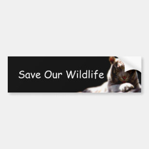Save Our Wildlife Tiger Bumper Sticker