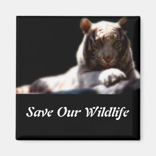 Save Our Wildlife Tiger Square Magnet