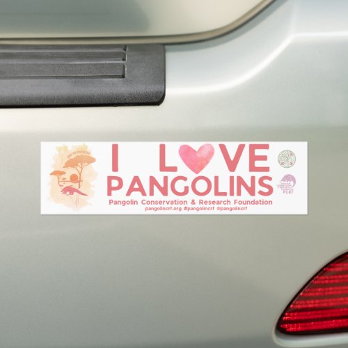 SAVE PANGOLINS Special edition Bumper Sticker