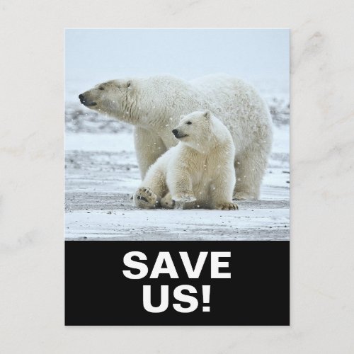 Save  Polar Bears Climate Activism Slogan on Black Postcard