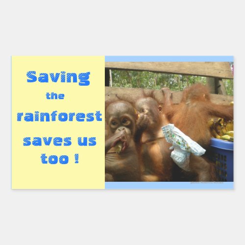 Save Rainforest and Cute Baby Orangutans Rectangular Sticker