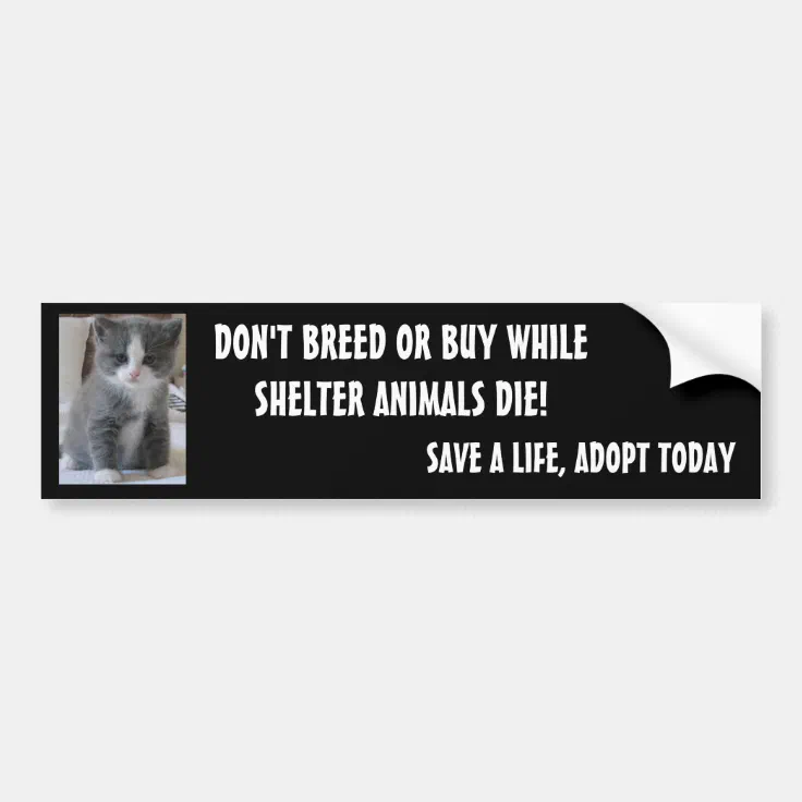 SAVE SHELTER ANIMALS... BUMPER STICKER | Zazzle