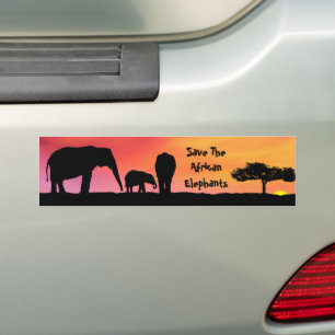Save The African Elephants Bumper Sticker