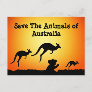 Save The Animals of Australia Postcard