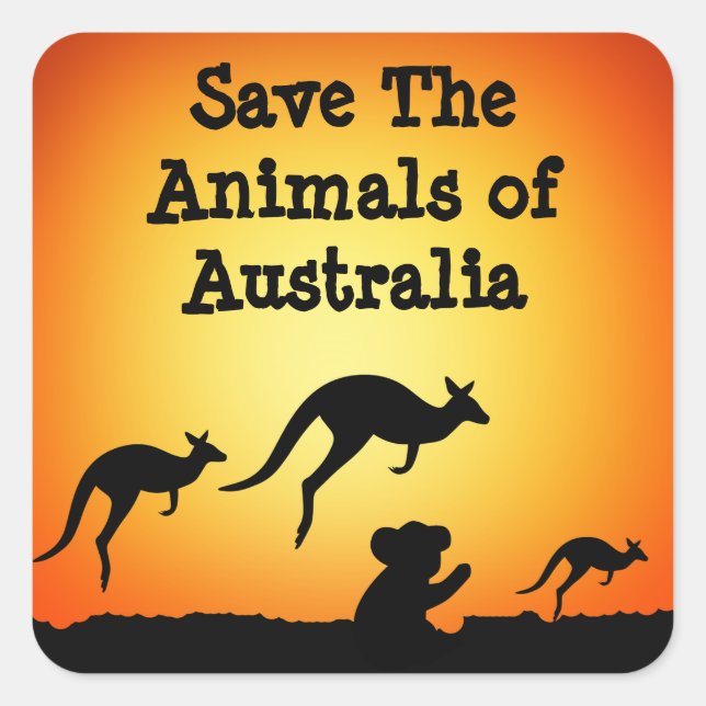 Save The Animals of Australia Square Sticker (Front)