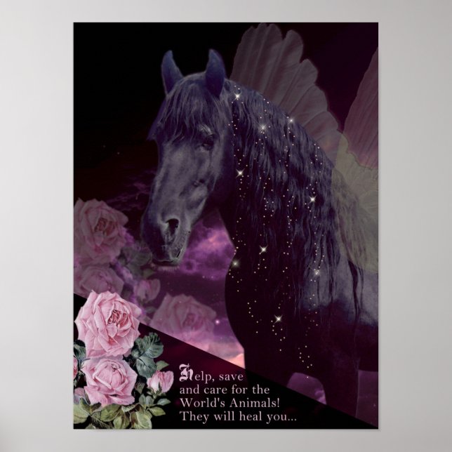 Save The Animals - Poster (Front)