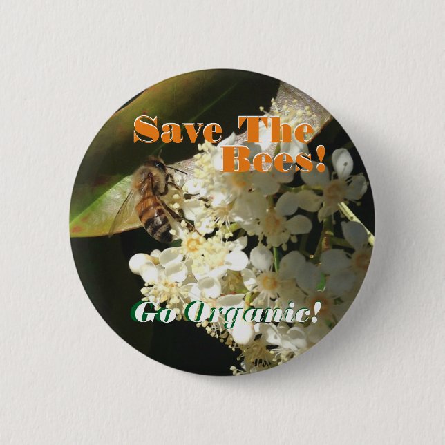 Save The Bees / Activism Pin (Front)