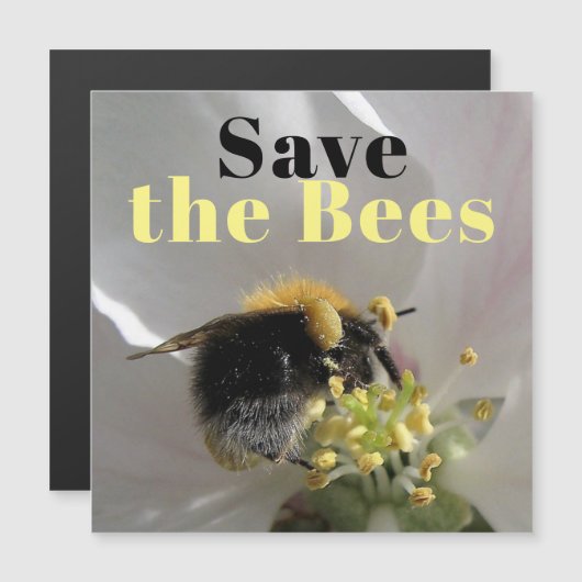Save the Bees Bumble Bee Photo Magnetic Card (Front/Back)