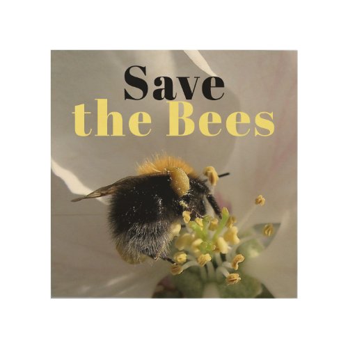 Save the Bees Bumble Bee Photo Wood Wall Art