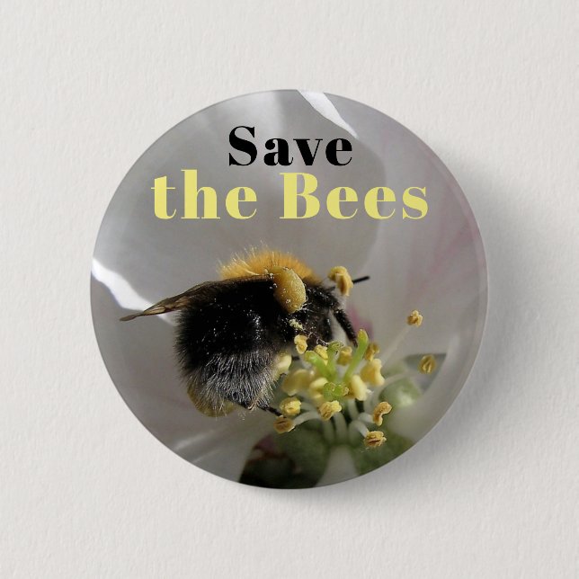 Save the Bees Bumblebee on Apple Blossom Button (Front)